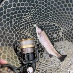 釣食浪漫 ～釣って食べて家庭円満～